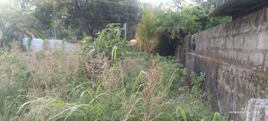 Land for sale -Kattuwa