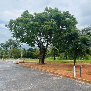 Land for sale in Kurunegala, Rathkarawwa - Image 2