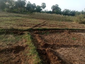 Land for sale Vavuniya
