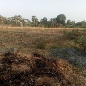 Land for sale Vavuniya - Image 2