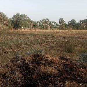 Land for sale Vavuniya - Image 3