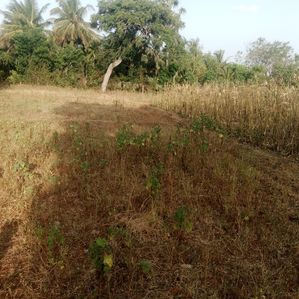 Land for sale Vavuniya - Image 4