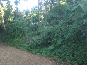 Land for Sale Galapitamada