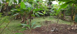Land for Sale Maharagama