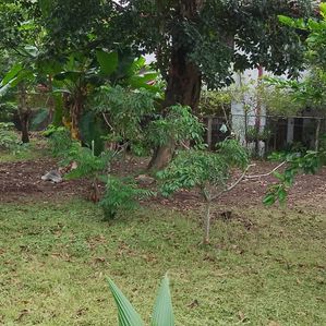 Land for Sale Maharagama - Image 2