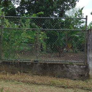 Land for Sale Maharagama - Image 3