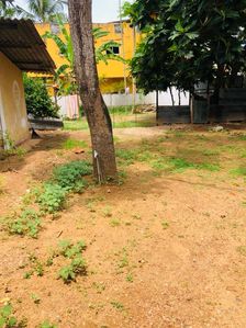 Residential Land for Sale in Nugegoda – 32.2P Total with Two Old Houses