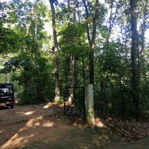 Prime 170 Perches Land for Sale in Tuttiripitiya, Mawanella - Image 2