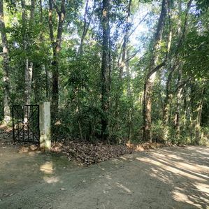 Prime 170 Perches Land for Sale in Tuttiripitiya, Mawanella - Image 3