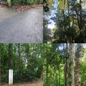 Prime 170 Perches Land for Sale in Tuttiripitiya, Mawanella - Image 4