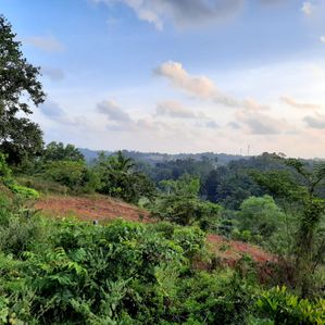 Land for Sale in Kalutara - Image 2