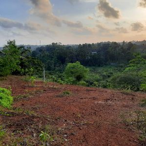 Land for Sale in Kalutara - Image 3