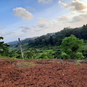 Land for Sale in Kalutara - Image 4