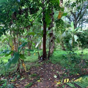 Land for Sale in Gampaha - Image 2