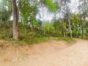 Land for Sale in Bandarawela