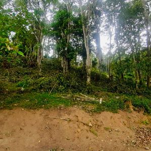 Land for Sale in Bandarawela - Image 2