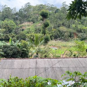 Land for Sale in Bandarawela - Image 3