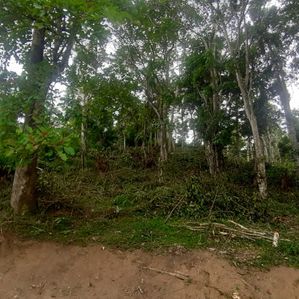 Land for Sale in Bandarawela - Image 4