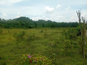 Large Land for Sale in Horana