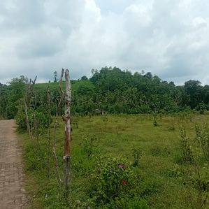 Large Land for Sale in Horana - Image 2