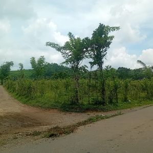 Large Land for Sale in Horana - Image 3