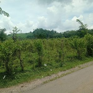 Large Land for Sale in Horana - Image 4