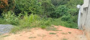 Land for Sale in Welipillawa, Panagoda