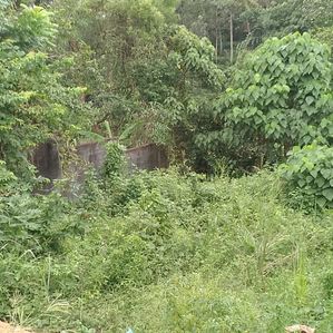 Land for Sale in Welipillawa, Panagoda - Image 2
