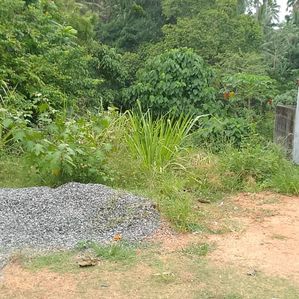 Land for Sale in Welipillawa, Panagoda - Image 3