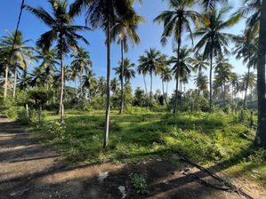 Land for Sale in Weeraketiya - Tangalle Road
