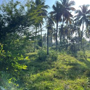 Land for Sale in Weeraketiya - Tangalle Road - Image 3
