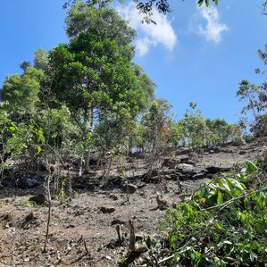 Land for Sale in Uluvitike Galle - Image 3