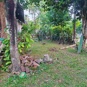14.4 perches land sale in Ekala - Image 3