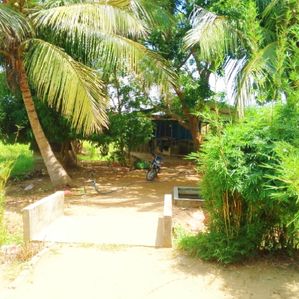 Land with Farmhouse - Pankudaveli - Image 3