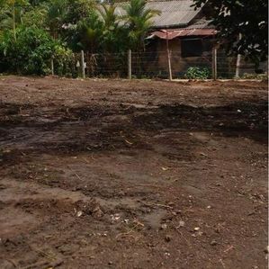 Land for Sale in Homagama Magammana - Image 2