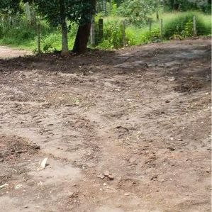 Land for Sale in Homagama Magammana - Image 3