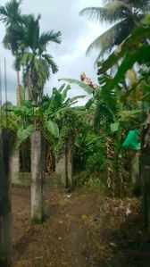 Land For Sale In Matara ( Near Meddawatte Campus )