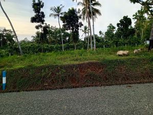 Land for Sale in Hikkaduwa