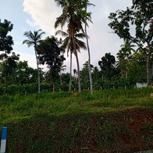 Land for Sale in Hikkaduwa - Image 2
