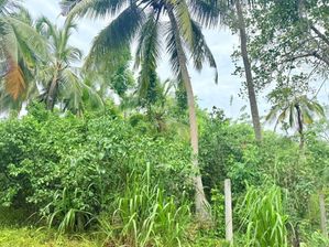57-Perch Land for Sale in Mirissa,Udupila