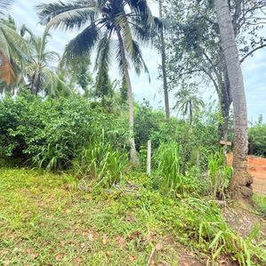 57-Perch Land for Sale in Mirissa,Udupila - Image 3