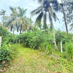 57-Perch Land for Sale in Mirissa,Udupila - Image 4