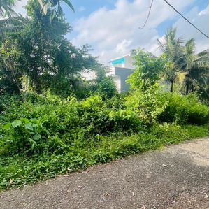 6 Perch land in Piliyandala – Madapatha Road - Image 4