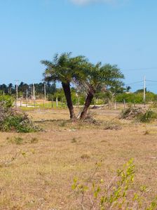 Land for Sale in Kalpitiya / Kandakuliya