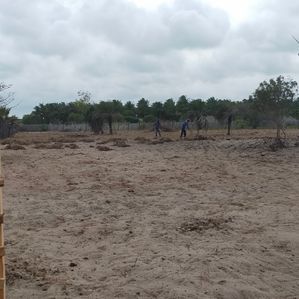 Land for Sale in Kalpitiya / Kandakuliya - Image 3