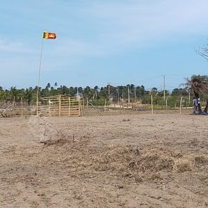 Land for Sale in Kalpitiya / Kandakuliya - Image 4