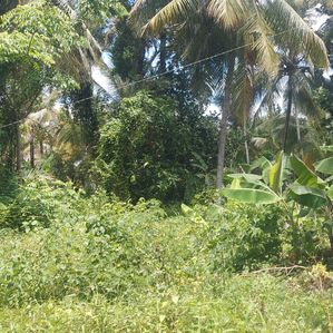 Lake view Land for Sale - Ibbagamuwa- - Image 3