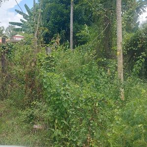 Lake view Land for Sale - Ibbagamuwa- - Image 4