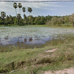 Land for Sale Wariyapola - Image 3
