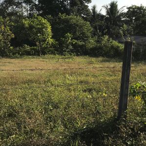 ඉඩම විකිණීමට ගල්වලගොඩ දෙකටන - Image 2